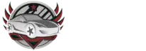 Auto Inspect Report